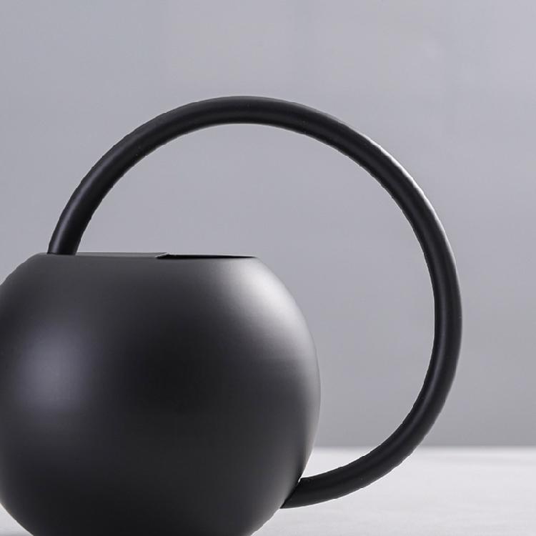 Watering Can Small Watering Can for Indoor Plant Stainless Steel Indoor Watering Can with Long Spout 35oz/400ml