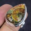 Ammonite Fossil Gemstone 925 Sterling Silver Jewelry Ring Size 8.5