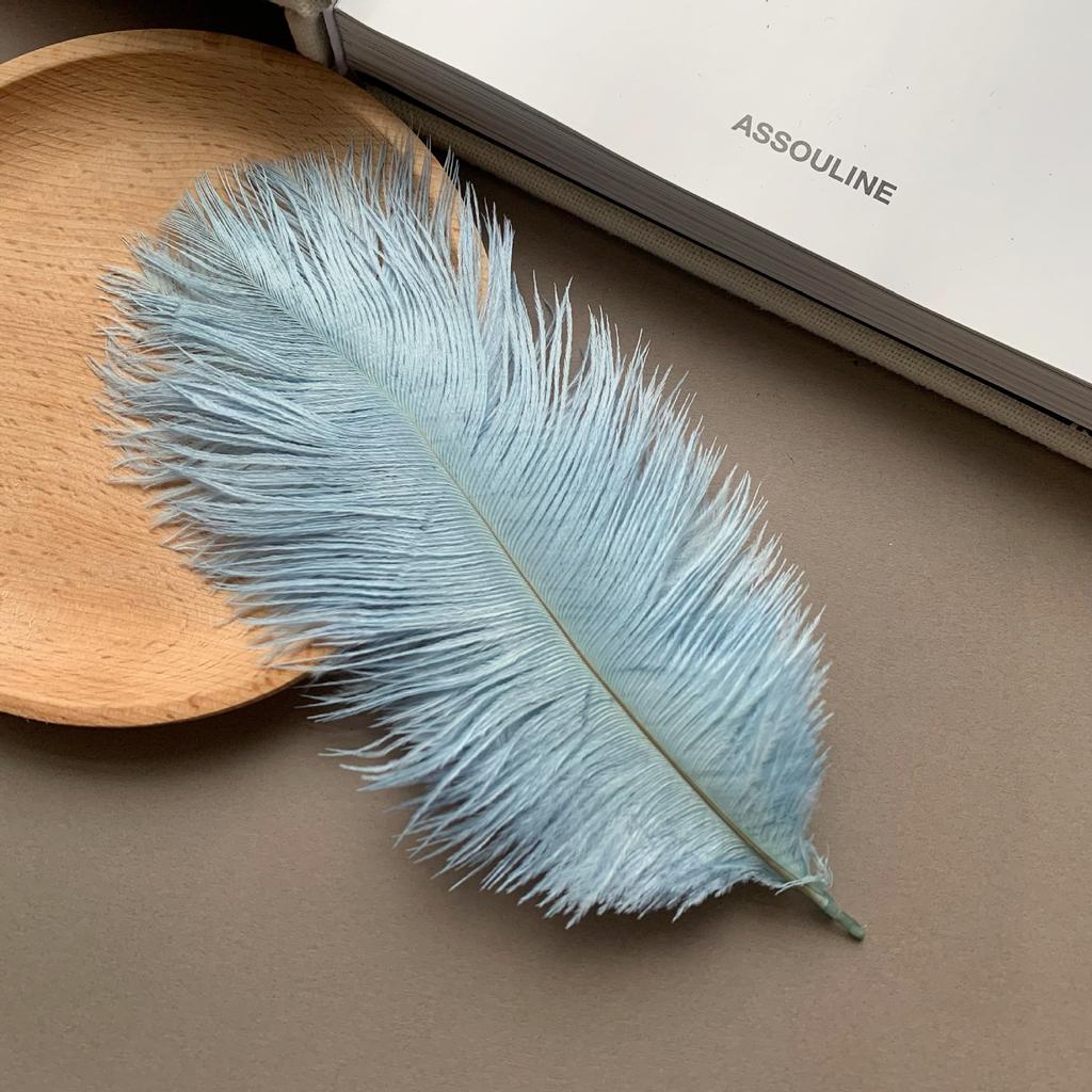 Color ostrich hair 15-20CM ostrich feather Internet celebrity photo background wall feather cake flower arrangement DIY decoration