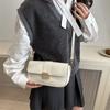 2024 Winter Retro Fashion Lock Buckle Crossbody Bag - Versatile, Stylish Small Square Bag for Women