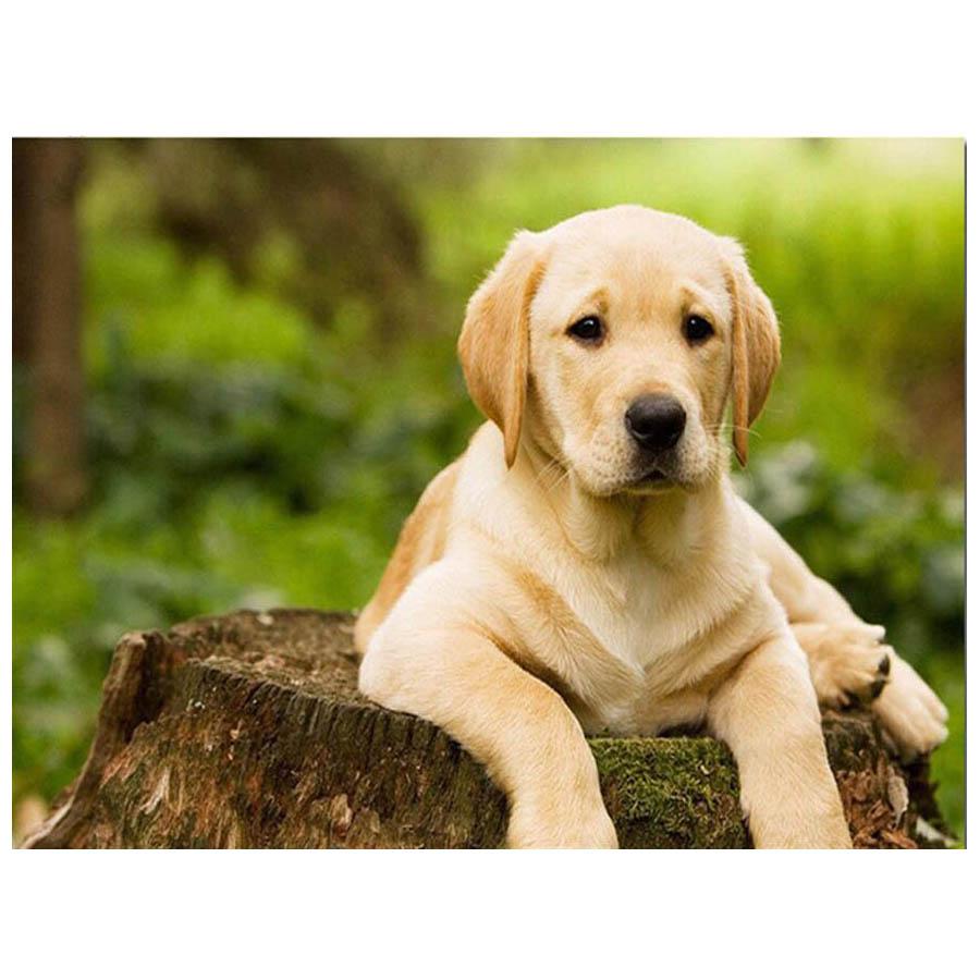 Dog DIY 5D Diamond Painting Dog Full Round Rhinestones Animal Diamond Embroidery Cross Stitch Kit Handmade Gift Home Decor