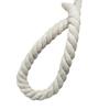 Weiß gebleichtes schwarzes dreisträngiges Hand-Baumwollseil (5 mm bis 20 mm) für Gepäck, Vorhangbinder und Zubehör.