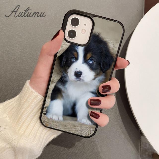 

Чехол для телефона с бернским зенненхундом для iPhone 11, 12, 13, 14 Pro Max mini X XR XS SE 2020 6S 7 8 Plus Samsung Galaxy S21 S22 Samsung S22ultra