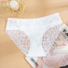 Women Floral Lace Underpants Transparent Hollow Lace Panties Seamless Briefs Sexy Panties for Women