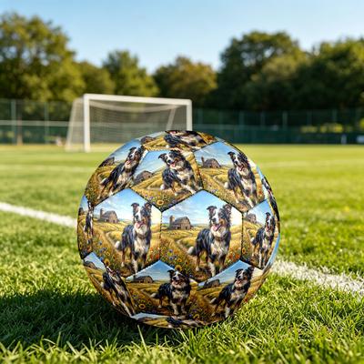 1pc Dog Field Theme Soccer Ball Football, Size 5, Lightweight PVC, Outdoor Training Soccer Ball,Sports Gift T61467