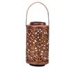 Solar Claws Projection Lamp Hollowed Out Solar Light Garden Patio Pathway Landscape Light with Handle Flower Iron