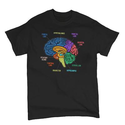 Funny Part of The Brain Color Chart High Quality Tshirt Neurology Print Harajuku Unisex Summer Short Sleeve Gift Tshirt Tops