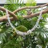 Hanging Avian Enclosure Toys Long-Lasting Avian Chewing Toy Chain Parrot Perch Chain Multi-Functional Pet Accessory Colorful