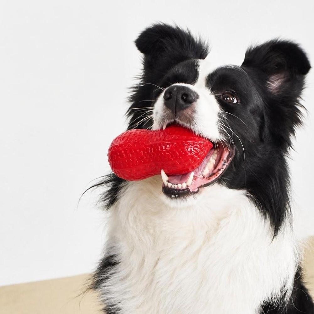 Textured Surface Peanut Dog Chew Toy Peanut Shape Teething Chew Toy Teeth Cleaning Chewing