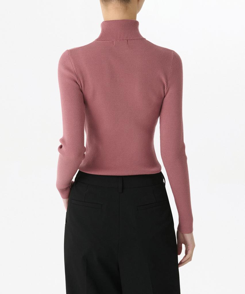 MUSINSA STANDARD WOMAN Women'S Ribbed Slim Turtleneck Knit [Red Bean]