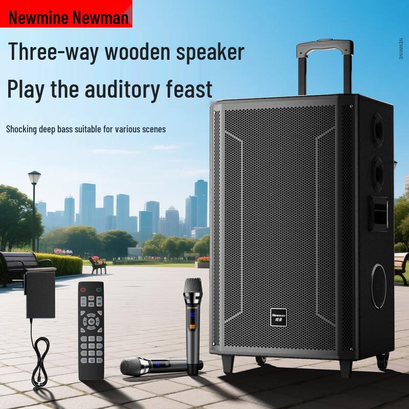 Newsmy N527 15-inch Portable Trolley Bluetooth Speaker CN plug (adapter included)