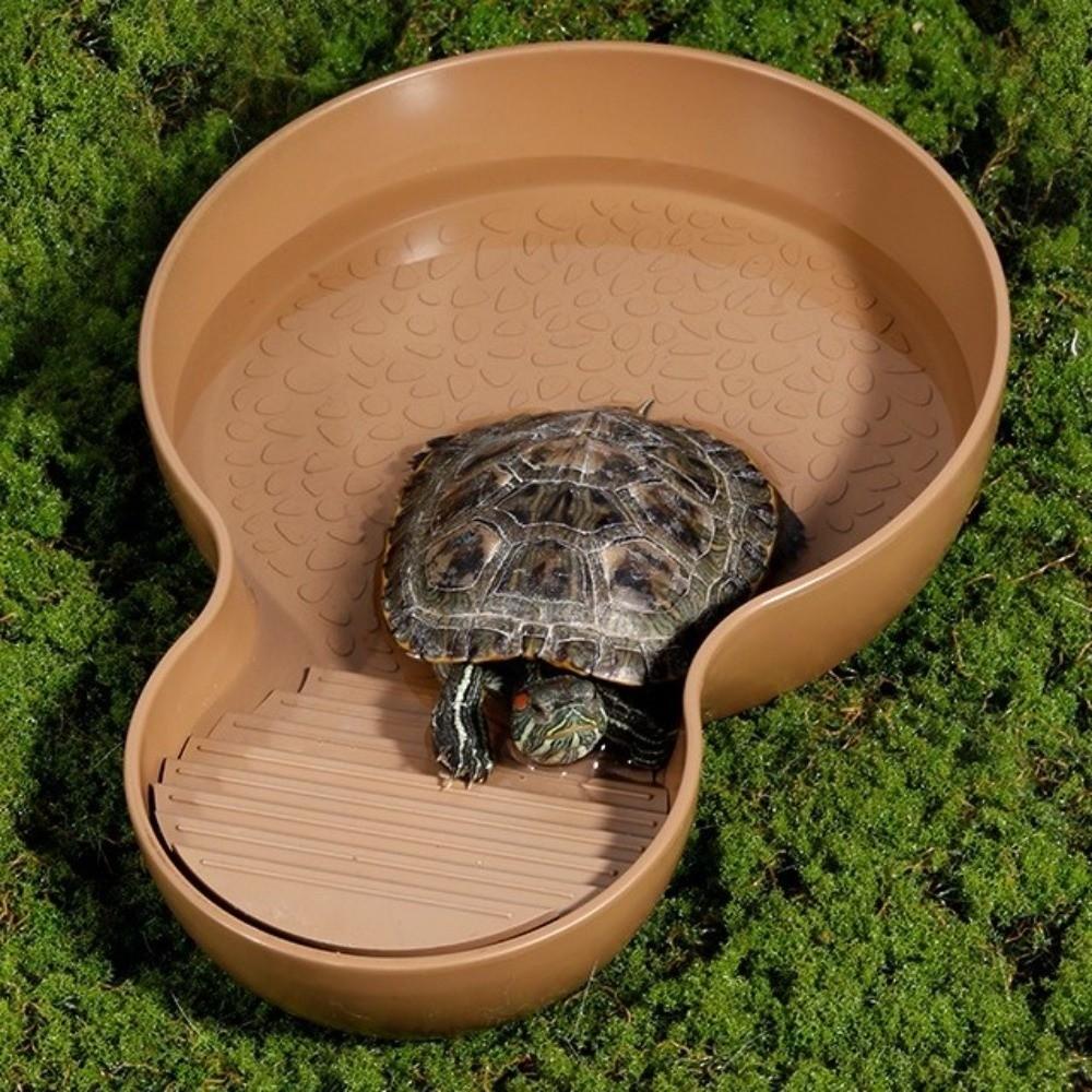 Wide Mouth Reptile Bathing Pool Non-Slip With Ramp Tortoise Food Bowl Plastic Prevents Spills Turtle Pond Lizard Supplies