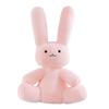 Soft Plush Bunny Stuffed Animal Toy Large Size Sitting Design with Embroidered Face Suitable for Kids Toddlers and Collectors