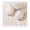 Scratch Resistant Cotton Rope Cat Bed Handwoven Pet Nest Breathable Summer Cool Mat Four Seasons Universal Bed for Cats Small Dogs