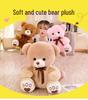 Cute Hug Teddy Bear Plush Toy - Valentine's & Birthday Gift for Girls