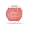 CANMAKE Cream Cheek Blusher 2.3g