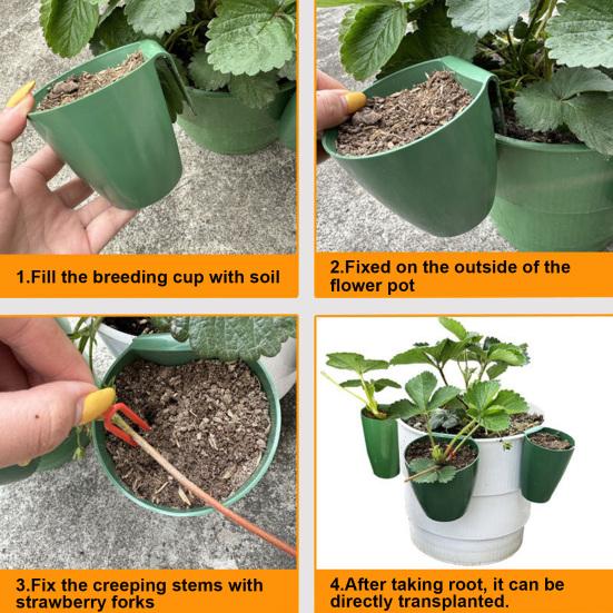 Strawberry Propagation Cups Ventilated Strawberry Plant Starter Cups with And Runner Forks Propagation Containers for Promoting Healthy Growth