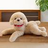 Hoodie Teddy Dog Plush Toy Cute Cartoon Collar Animal Doll Girl Gift Birthday