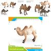 Animal Wildlife Pvc Model Single Hump Camel Decorative Toy For Kids Educational Gift