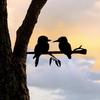 Two Birds On Branch Iron Art Silhouette - Metal Wall Art for Home Stunning Statue Stake Decoration and Housewarming Gifts