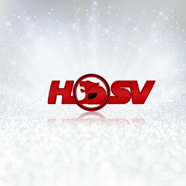 1pc New 3D Metal HSV Logo Emblem Decor Side Fender Rear Trunk Badge Sticker for HSV Astra Commodore VT VX VU VY HSV Cruze Rodeo Astra
