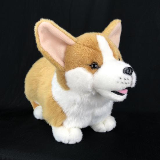 chadwick corgi