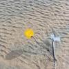 Buoy Float Crab Trap High Visibility Marker With Cord And Clip For Kayak Boat Canoe Dock Marine Trail Crabbing Outdoor Skiing