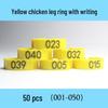 Laser Engraved Poultry Leg Rings for Chickens, Ducks, and Geese - Identification Markers