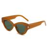 New Cat Eye Sunglasses French Fashion Same Glasses Personalized Internet Celebrity Catwalk Sunglasses Women