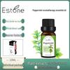 Peppermint Head Cooling Essential Oil for Diffusers - Aromatherapy Fragrance