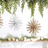 Cedar Champagne Star & Sun Silver Glitter Acrylic Christmas Ornament