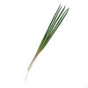 Artificial Green Cabbage Loofah PVC Vegetable Educational toy Decor Ornament