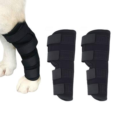 Honden – Hondenproducten