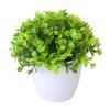 Beautiful Fake Plant Energetic No Withering Plastic Artificial Potted Plants Bonsai