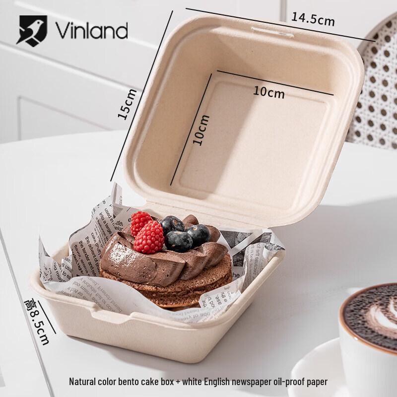 Disposable Dessert & Sandwich Packaging Box