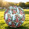 Size 5 FootballSpirited Away Durable PU Soccer Ball for Sports Training Outdoor Competition