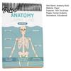 A&P Exam Prep Materials Anatomy Label Lab Workbook Human Illustrations 100+ Reusable Practice Book Full-Color Dry-Erase Pages Educational Resource for