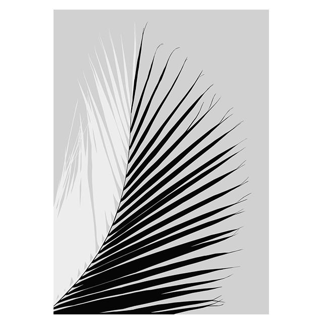

Abstract Black And White Plant Leaves Prints Posters Canvas Paintings Hd Modern Wall Art Pictures Living Room Bedroom Home Decor 21x30cm No Framed