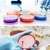 55x15mm Plastic with Lids Bacteria Culture Dish Petri Dishes Sterile Petri Dishes Clear Petri Dish