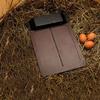 Automatic Chicken Coop Door Anti Pinch Electric Metal Intelligent Timer Opening Closing for Farm Management Tool Farm