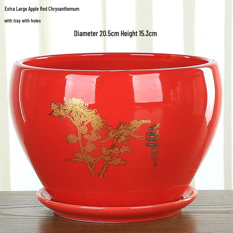 Keramische Plantenbak in Appelvorm met Schotel