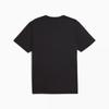 Puma Men S Tad eSSential Poly Texture Tee