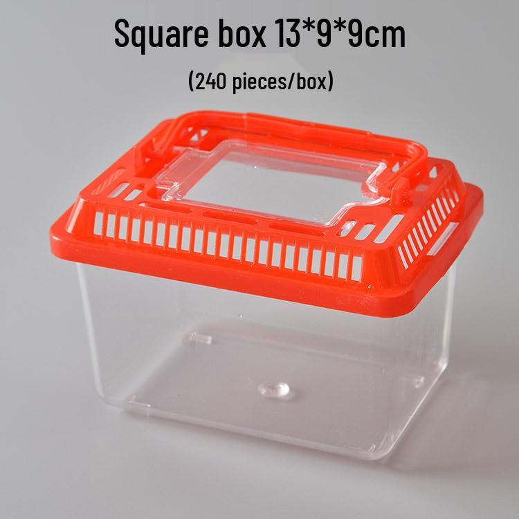 Clear Plastic Fish Tank with Sunning Platform - Available in Large, Medium, Small; Perfect for Goldfish or Turtles.