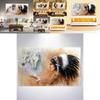 Native And American Horse Wallpaper Home Decoration Bedroom Decoration Wall