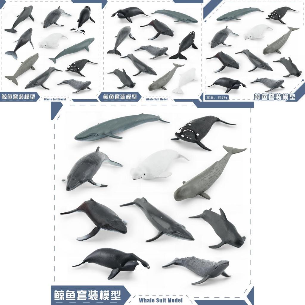 Meereslebewesen Beluga Wal Und Wal Nachbildung Modell Set PVC Spielzeug Für Aquarium Dekoration