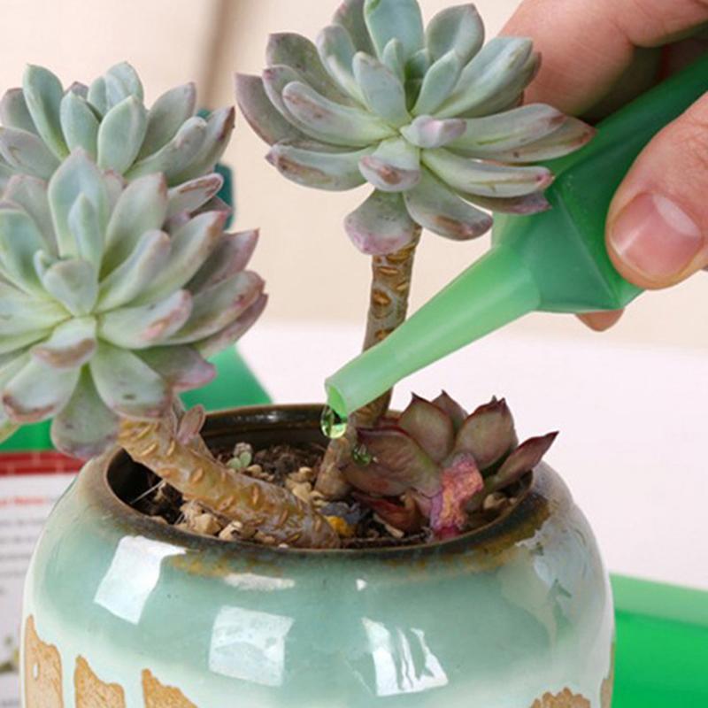 Universelle Pflanzennährlösung Flüssigdünger für Topfpflanzen Glücksbambus Geldbaum Hydrokultur Grünpflanzen