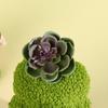 Plush Gnome Spring Decoration Cute Green Plant Gnome Doll for Tiered Tray Indoor Table Office Farmhouse Christmas Decoration