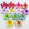 Retro Colorful Frangipani Flower Hair Claw Clip for Women