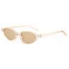 Women's Trendy Oval Sunglasses: European & American INS Street Style