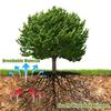 Weed Control Tree Mulch Ring Non-Woven Fabric Uv Resistant Garden Plant Protector Barrier Mat Effective Root Shield Weed Control
